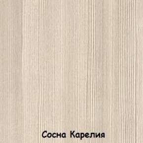 Шкаф 900 мм 2-х створчатый ДМ-02 Серия 2 (СВ) в Североуральске - severouralsk.mebel-e96.ru