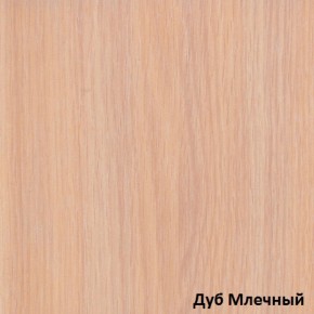 Шкаф-купе Рио 1-600 Амели (полки справа) в Североуральске - severouralsk.mebel-e96.ru