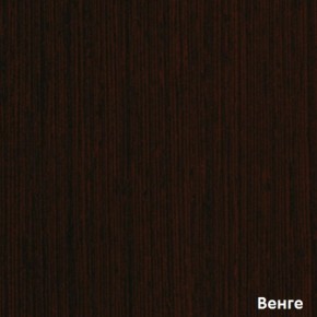 Шкаф-купе Рио 1-600 Амели (полки справа) в Североуральске - severouralsk.mebel-e96.ru