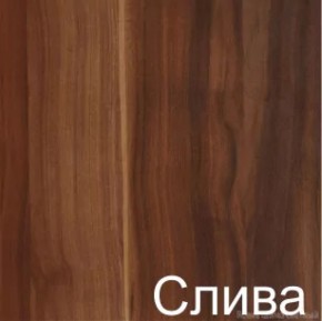 Стол-книжка (1-65) (ГК) в Североуральске - severouralsk.mebel-e96.ru