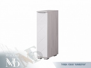 Тумба узкая ТБ-21 Кимберли (БТС) в Североуральске - severouralsk.mebel-e96.ru